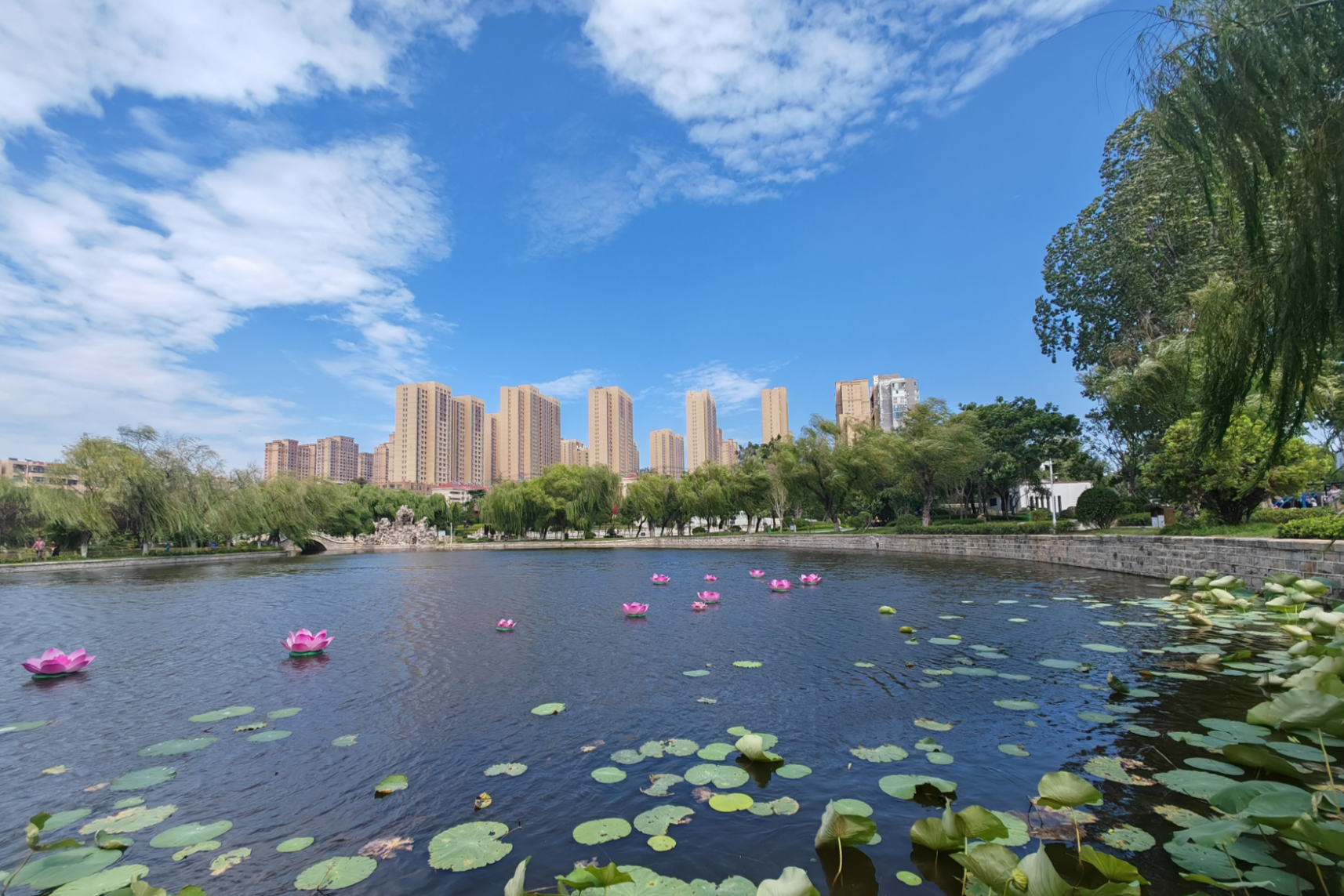 山東滕州：打造“精致城市” “繪”出公園詩畫美景